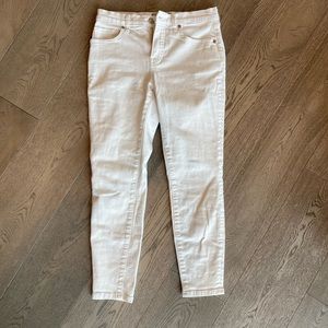 Everlane Mid-Rise Skinny Jean - 28 Ankle